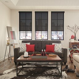 Alternate image for Solar Shades