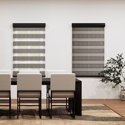 Solar Zebra Shades